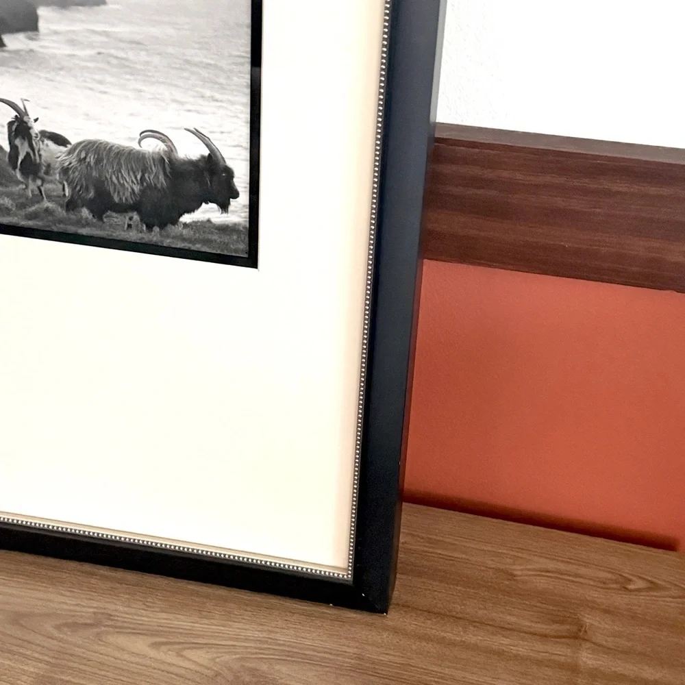 Mountain Goat Black & White Photo Black Framed Wall Hanging Art Coastline Ocean